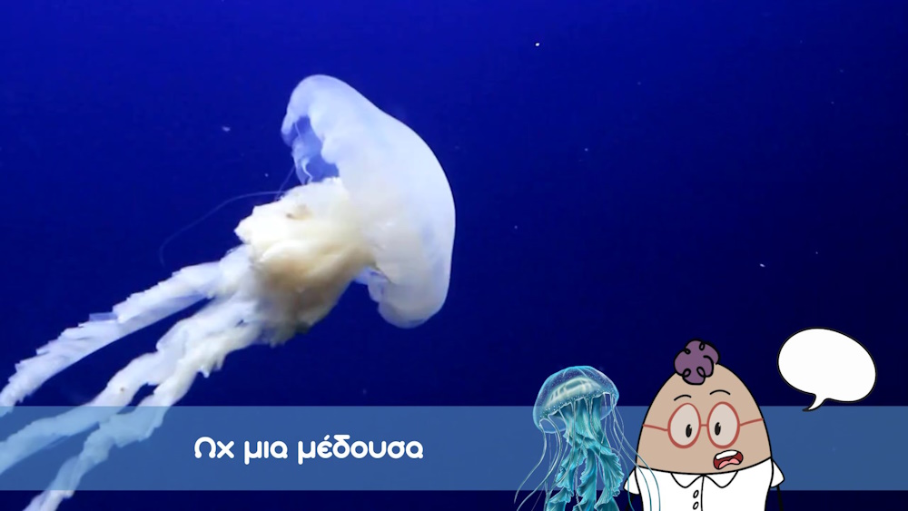Μέδουσα που κολυμπά στη θάλασσα στο εκπαιδευτικό βίντεο της EggΠαίδευσης